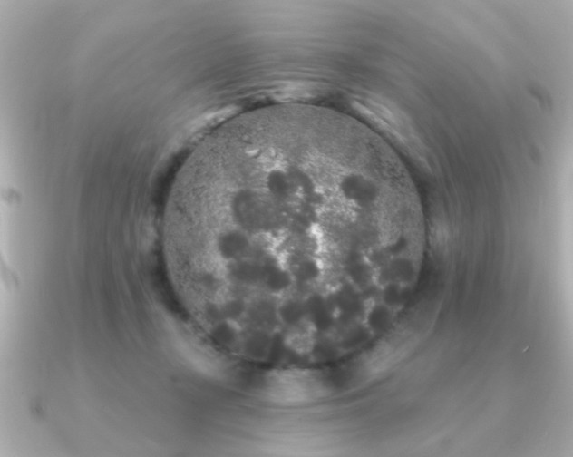 X0000091330367200708101430