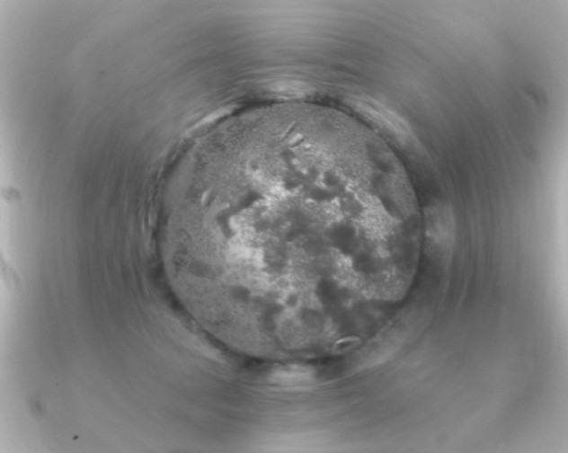 X0000091330369200708101430