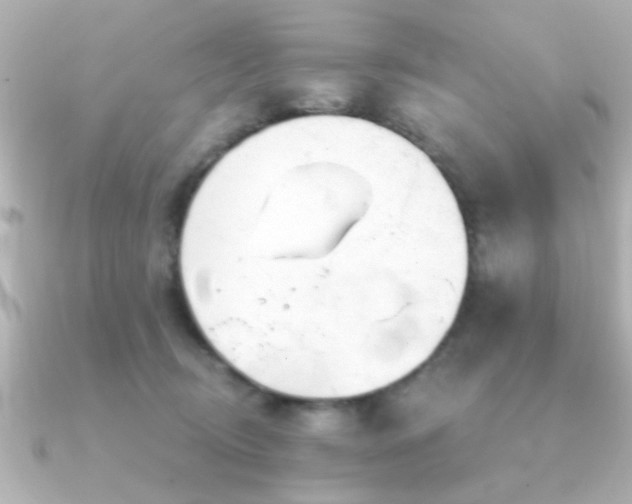 X0000091330370200708101430