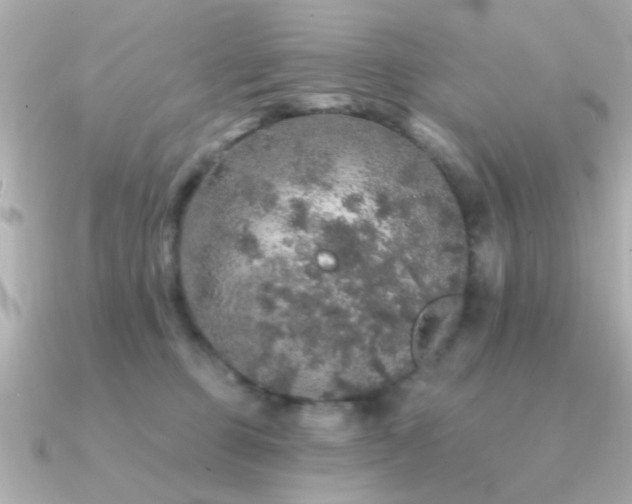 X0000091330373200708101430