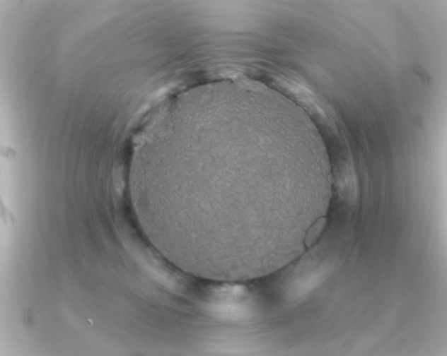 X0000091330374200708101430