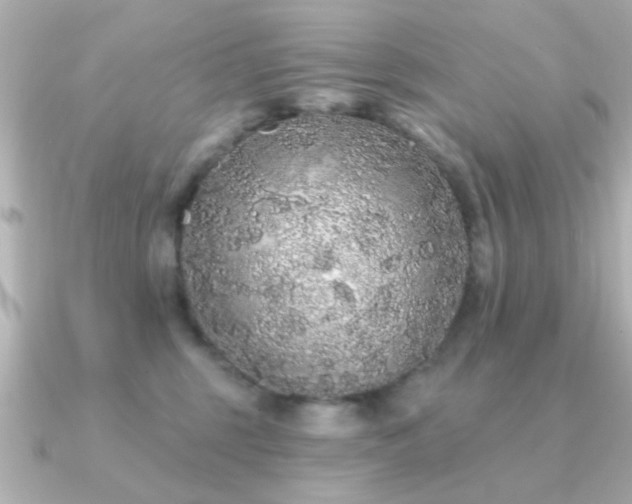 X0000091330375200708101430