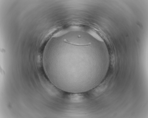 X0000091330378200708101430