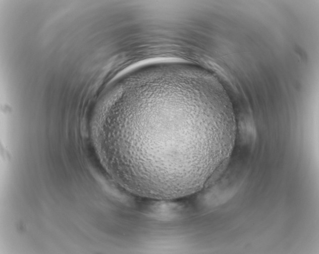 X0000091330379200708101430