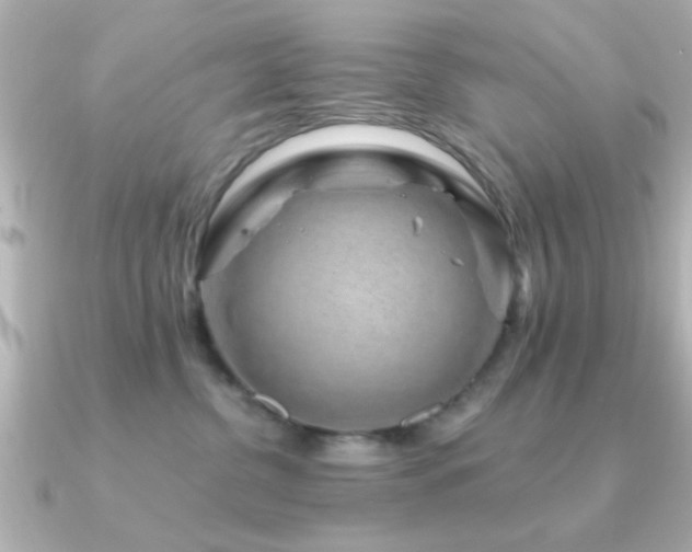 X0000091330380200708101430