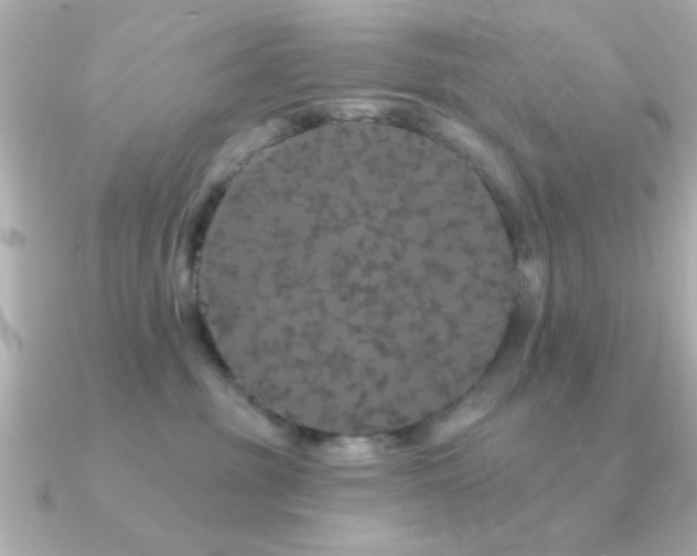 X0000091330381200708101430