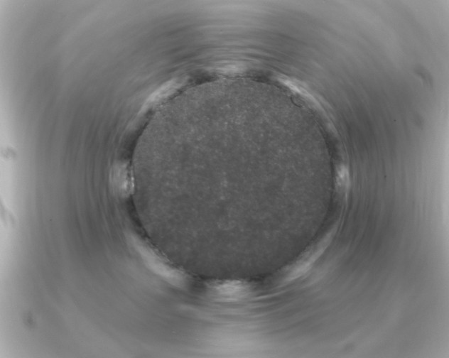 X0000091330383200708101430