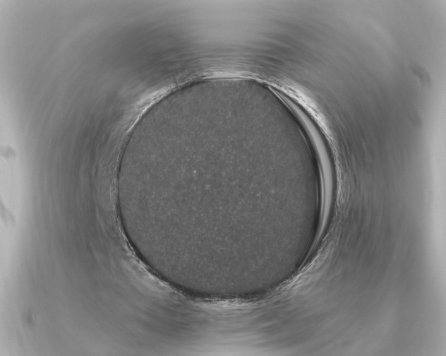 X0000091330385200708101429