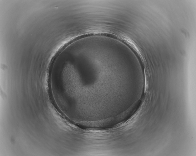 X0000091330387200708101429
