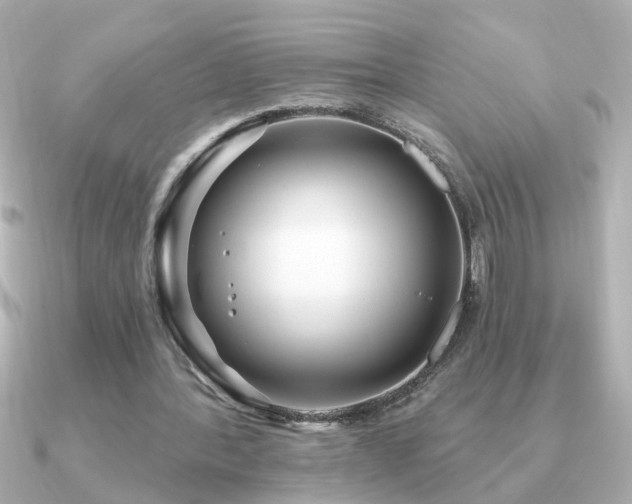 X0000091330388200708101429