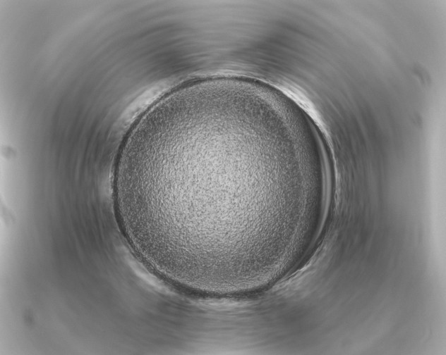 X0000091330389200708101429