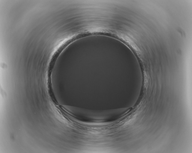 X0000091330391200708101429