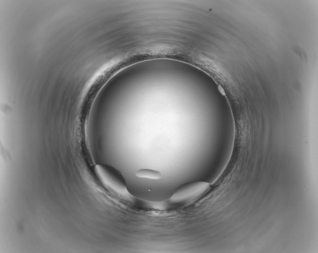 X0000091330392200708101429