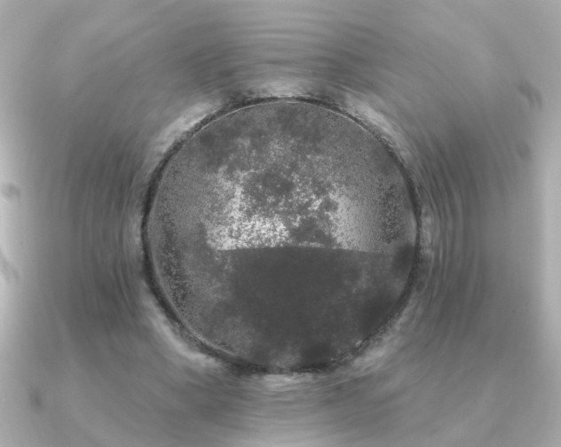 X0000091330394200708101429