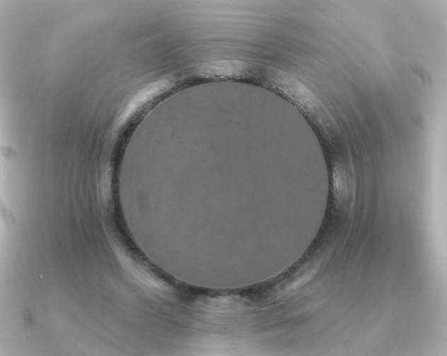 X0000091330396200708101429