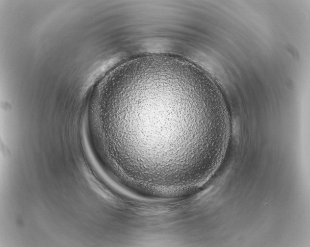 X0000091330397200708101429