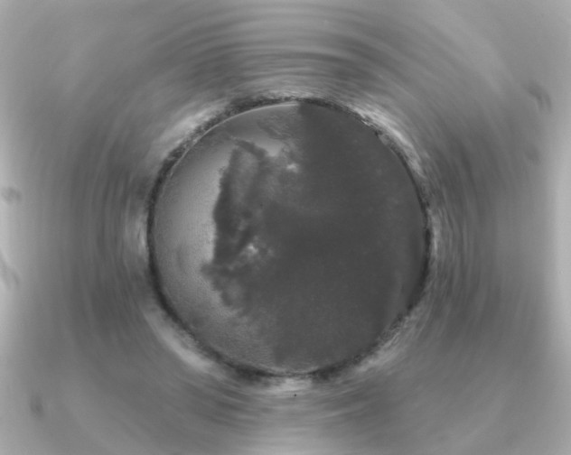X0000091330398200708101429