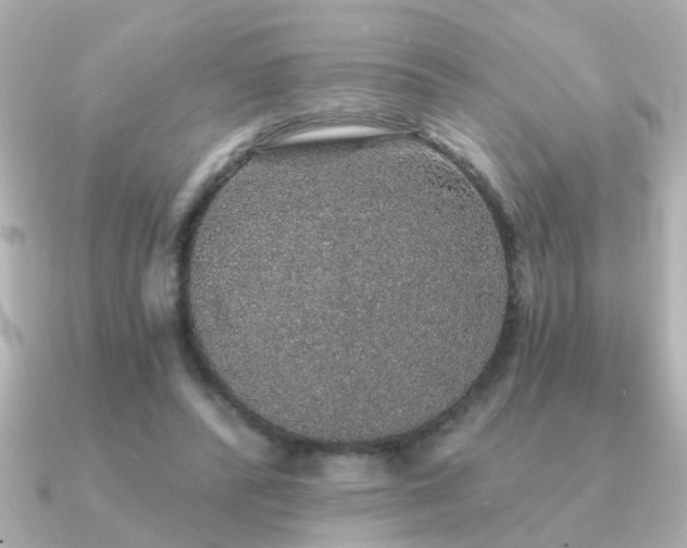 X0000091330400200708101429