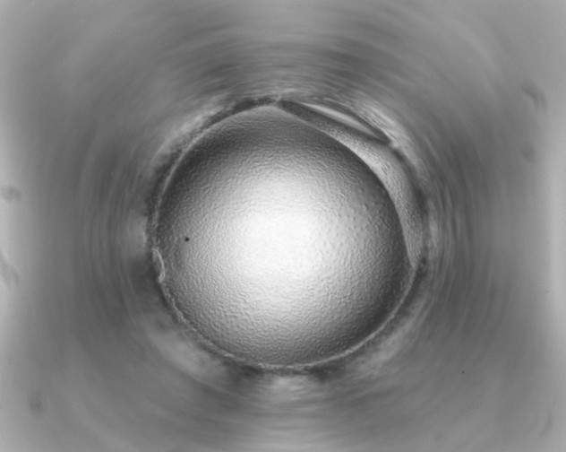 X0000091330401200708101429