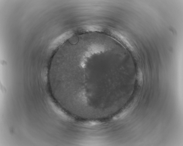 X0000091330402200708101429