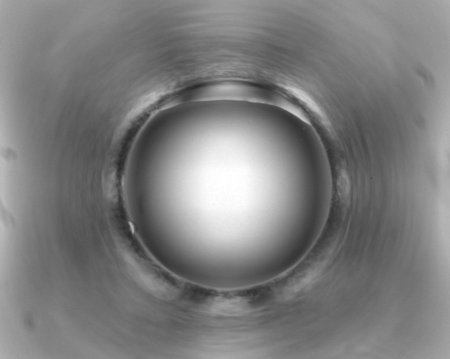 X0000091330403200708101429