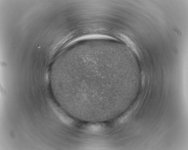 X0000091330405200708101429