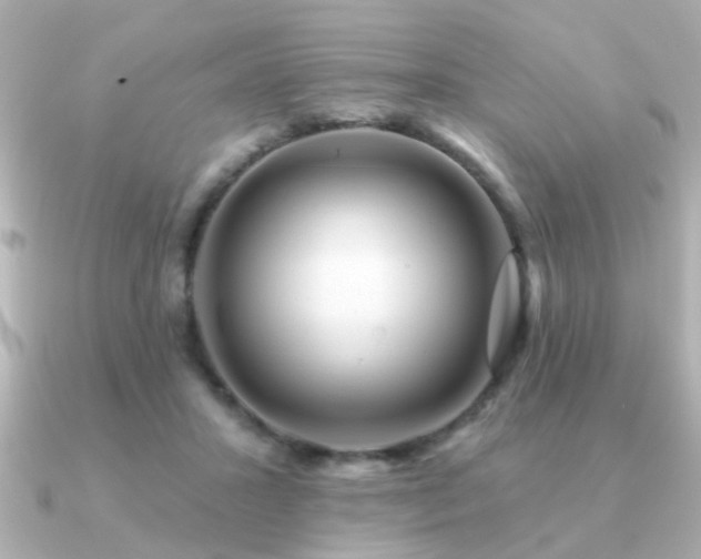 X0000091330407200708101429