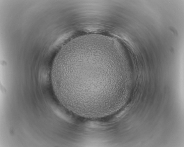 X0000091330408200708101429