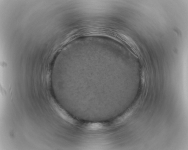 X0000091330409200708101429