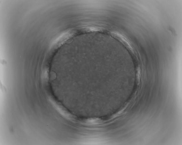 X0000091330410200708101429