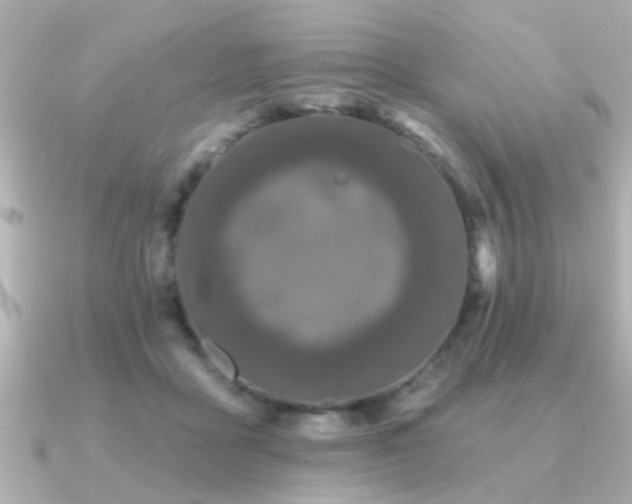 X0000091330411200708101429