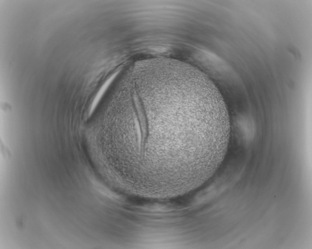 X0000091330412200708101429