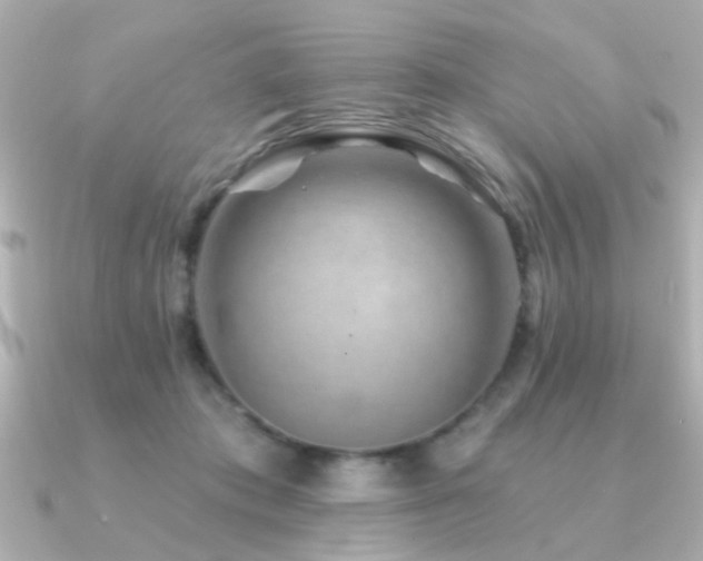 X0000091330413200708101429