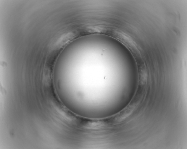 X0000091330414200708101429