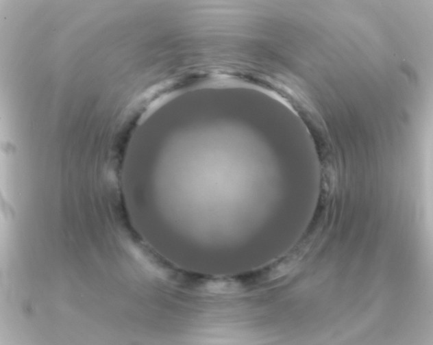 X0000091330415200708101429