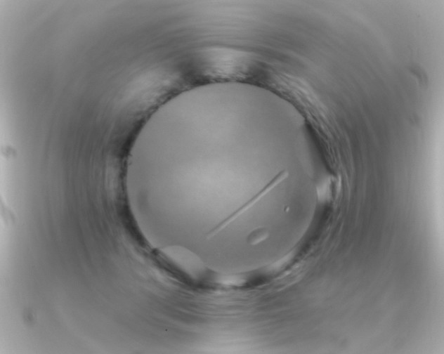 X0000091330416200708101429