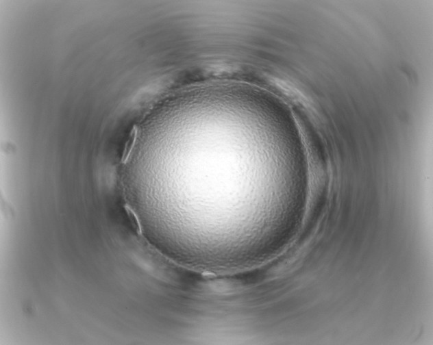 X0000091330417200708101429