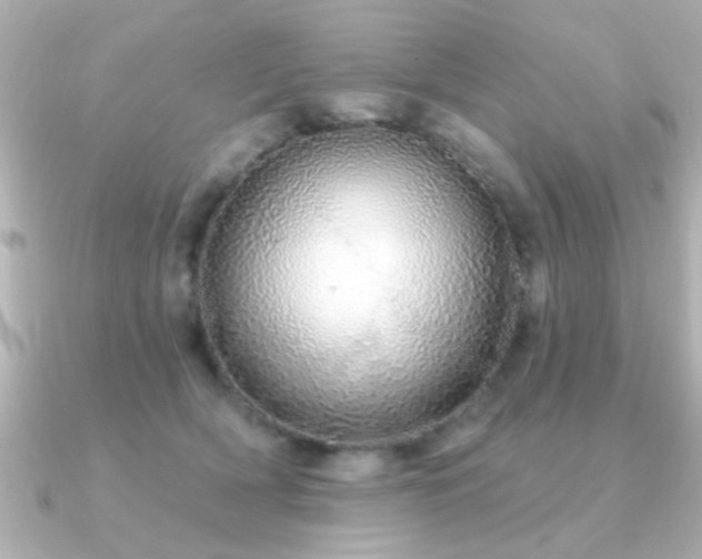 X0000091330418200708101429