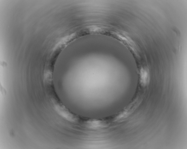 X0000091330419200708101429