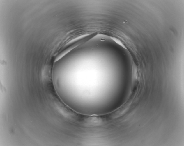 X0000091330421200708101429