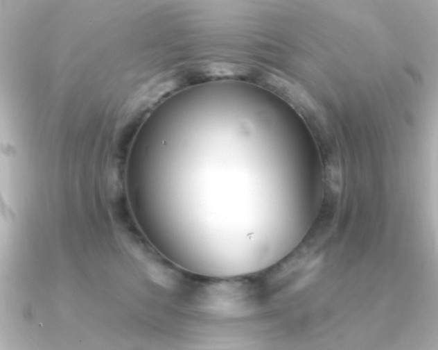 X0000091330422200708101429
