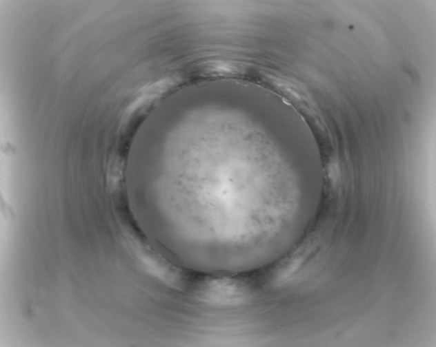 X0000091330423200708101429