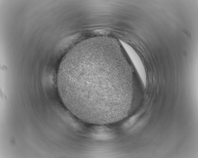 X0000091330424200708101429