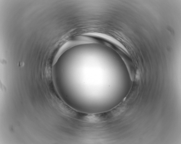 X0000091330425200708101429