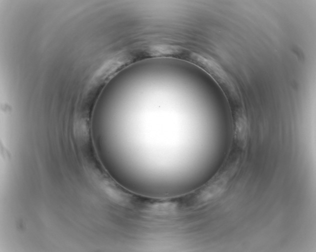 X0000091330426200708101429