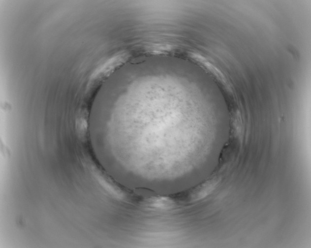 X0000091330427200708101429