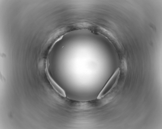X0000091330428200708101429