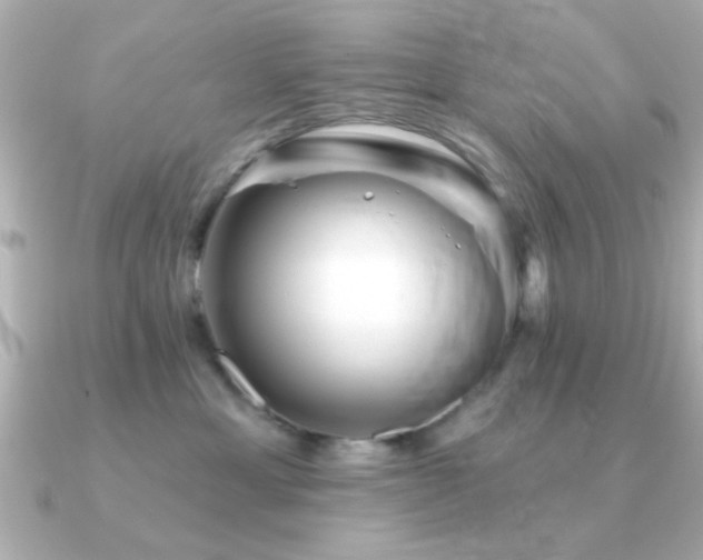 X0000091330429200708101429