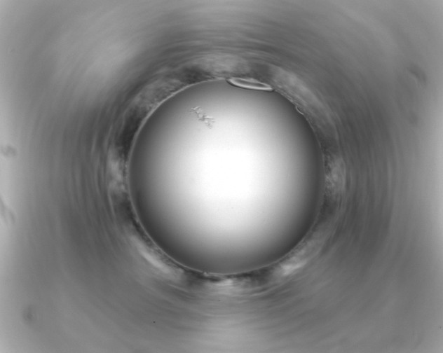 X0000091330430200708101429