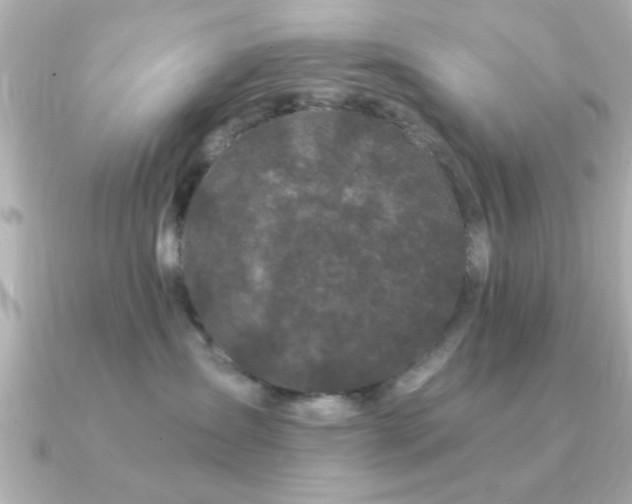 X0000091330431200708101429